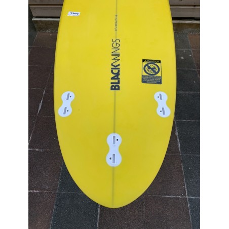 planches surf blackwings 6'0 fish cristal clear