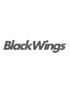 Blackwings | Planches de surf pas cher et de qualité -25%