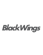 planches de surf Blackwings